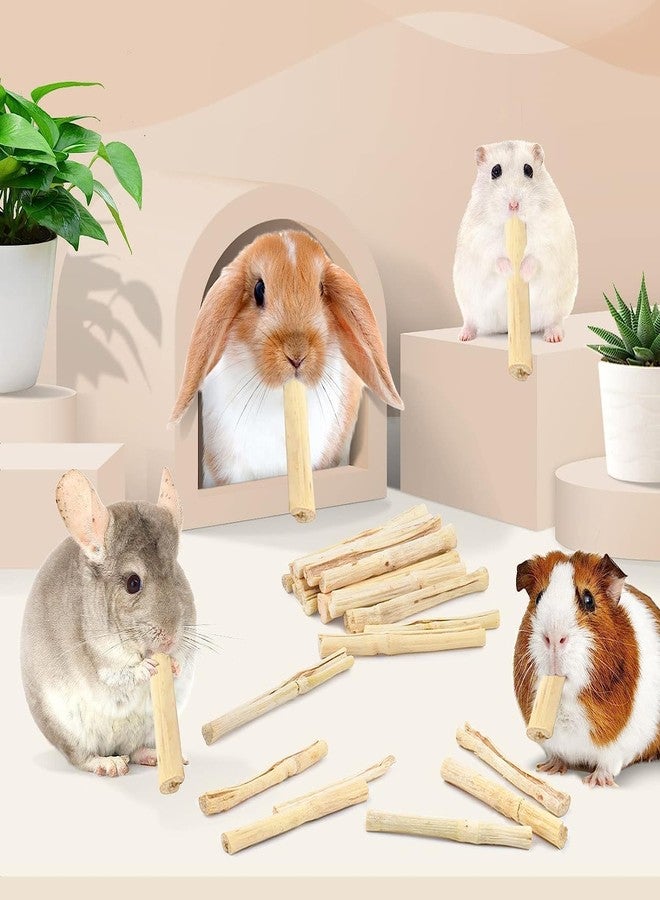 Bissap 170g/0.3Ib Sweet Bamboo Sticks for Rabbits, Bunny Chew Toys for Rabbits Hamster Chinchilla Guinea Pigs Rabbit Squirrel Small Animals Natural Treats Teeth Grinding Chew Sticks - Image 5